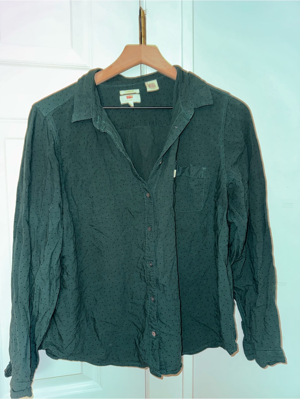 Levi's Women’s black polka dotted Forest Green Long-Sleeve Button-Down Shirt